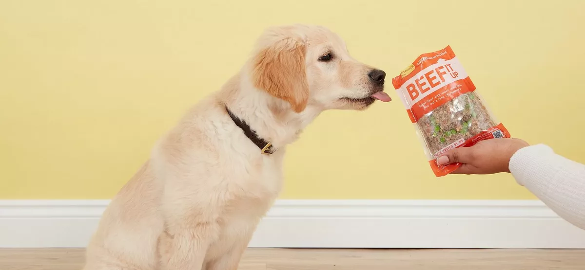 Most popular dog clearance food